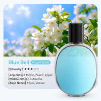Aroma diffuser + B essential oil